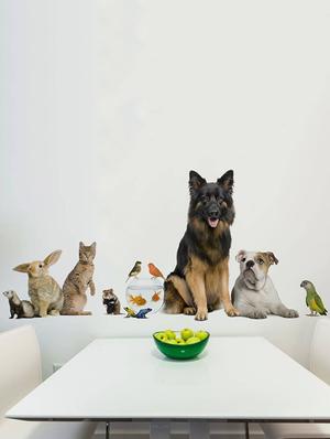 Rawpockets Wall Decals ' Living Room Pet Familiy ' Wall stickers (PVC Vinyl) Multicolour - 15733886 - Standard Image - 2