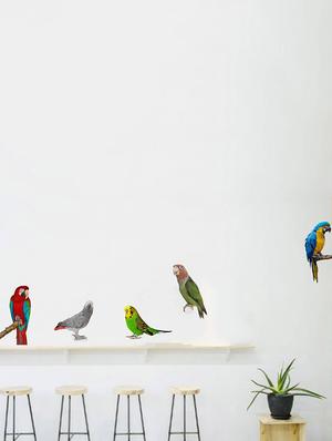 Rawpockets Wall Decals ' Living Room Parrot Love Bird ' Wall stickers (PVC Vinyl) Multicolour - 15733888 - Standard Image - 2