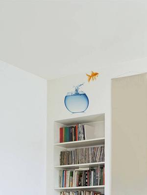 Rawpockets Wall Decals ' Living Room Fish Jumping From Pot ' Wall stickers (PVC Vinyl) Multicolour - 15733891 - Standard Image - 2