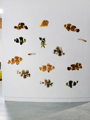 Rawpockets Wall Decals ' Living Room Cute Fish Family ' Wall stickers (PVC Vinyl) Multicolour - 15733897 - Standard Image - 2