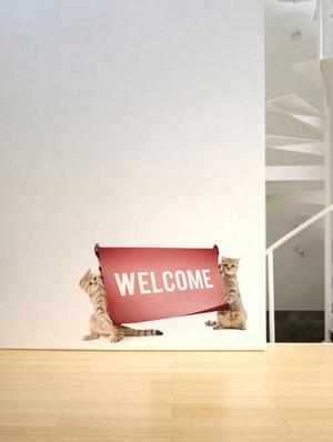 Rawpockets Wall Decals ' Welcome by Cats ' Wall stickers (PVC Vinyl) Multicolour - 15733899 - Standard Image - 2