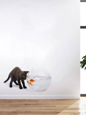 Rawpockets Wall Decals ' Cat and Fish Bowl Abstract ' Wall stickers (PVC Vinyl) Multicolour - 15733902 - Standard Image - 2