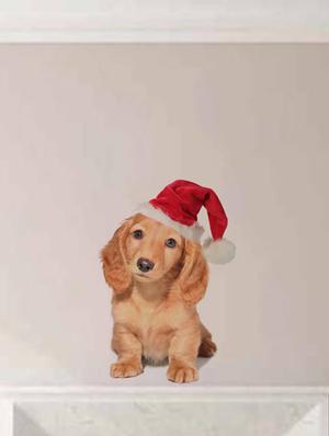 Rawpockets Wall Decals ' Dog with Christmas Cap ' Wall stickers (PVC Vinyl) Multicolour - 15733903 - Standard Image - 2