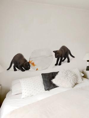 Rawpockets Wall Decals ' Cats and Fish Bowl ' Wall stickers (PVC Vinyl) Multicolour - 15733908 - Standard Image - 2