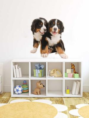 Rawpockets Wall Decals ' Cute Pair Dog ' Wall stickers (PVC Vinyl) Multicolour - 15733909 - Standard Image - 2
