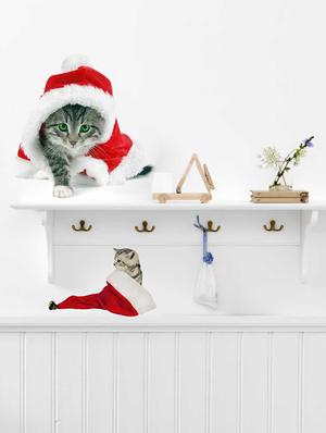 Rawpockets Wall Decals ' Cats with Christmas Cap ' Wall stickers (PVC Vinyl) Multicolour - 15733910 - Standard Image - 2