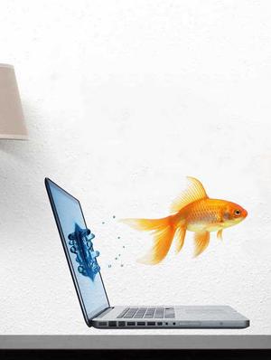 Rawpockets Wall Decals ' Fish Out of Laptop Abstract ' Wall stickers (PVC Vinyl) Multicolour - 15733911 - Standard Image - 2