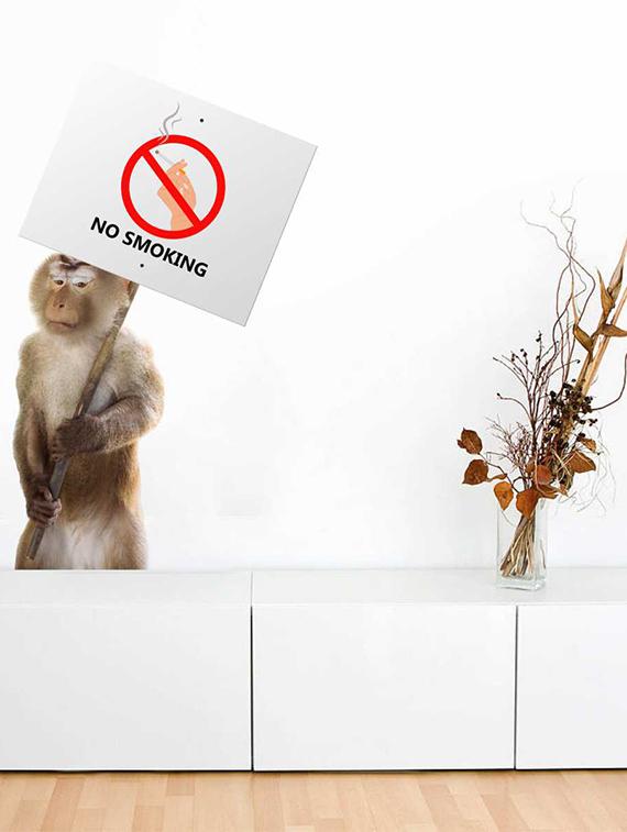 Rawpockets Wall Decals ' No Smoking ' Wall stickers (PVC Vinyl) Multicolour - 15733912 - Zoom Image - 2