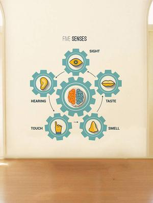 Rawpockets Wall Decals ' Five Senses?Chart ' Wall stickers (PVC Vinyl) Multicolour - 15734168 - Standard Image - 2