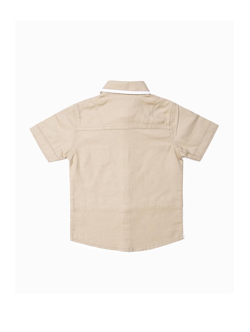 beige cotton shirt - 15780518 - Zoom Image - 2
