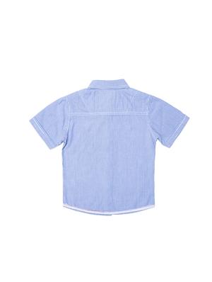 light blue cotton shirt - 15780527 - Standard Image - 2