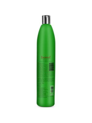 Aryanveda Herbal Volumizing Shampoo - 15887821 - Standard Image - 2