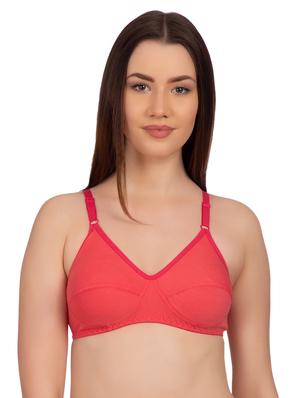 set of 2 solid t-shirt bras - 15904327 - Standard Image - 2