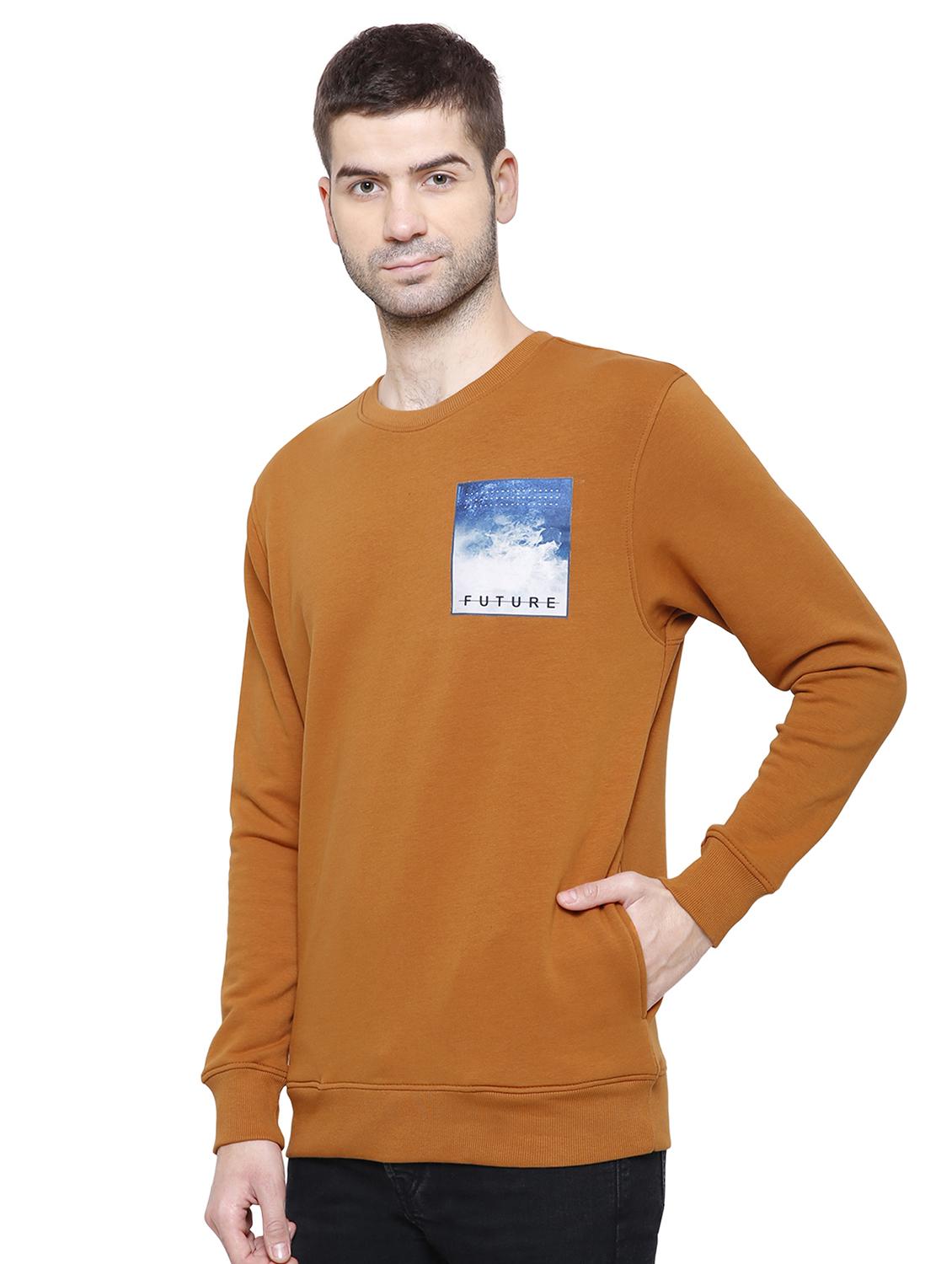 brown cotton sweatshirt - 15916471 - Zoom Image - 2