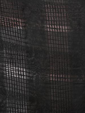 checks dupatta with fringes - 16039406 - Standard Image - 2