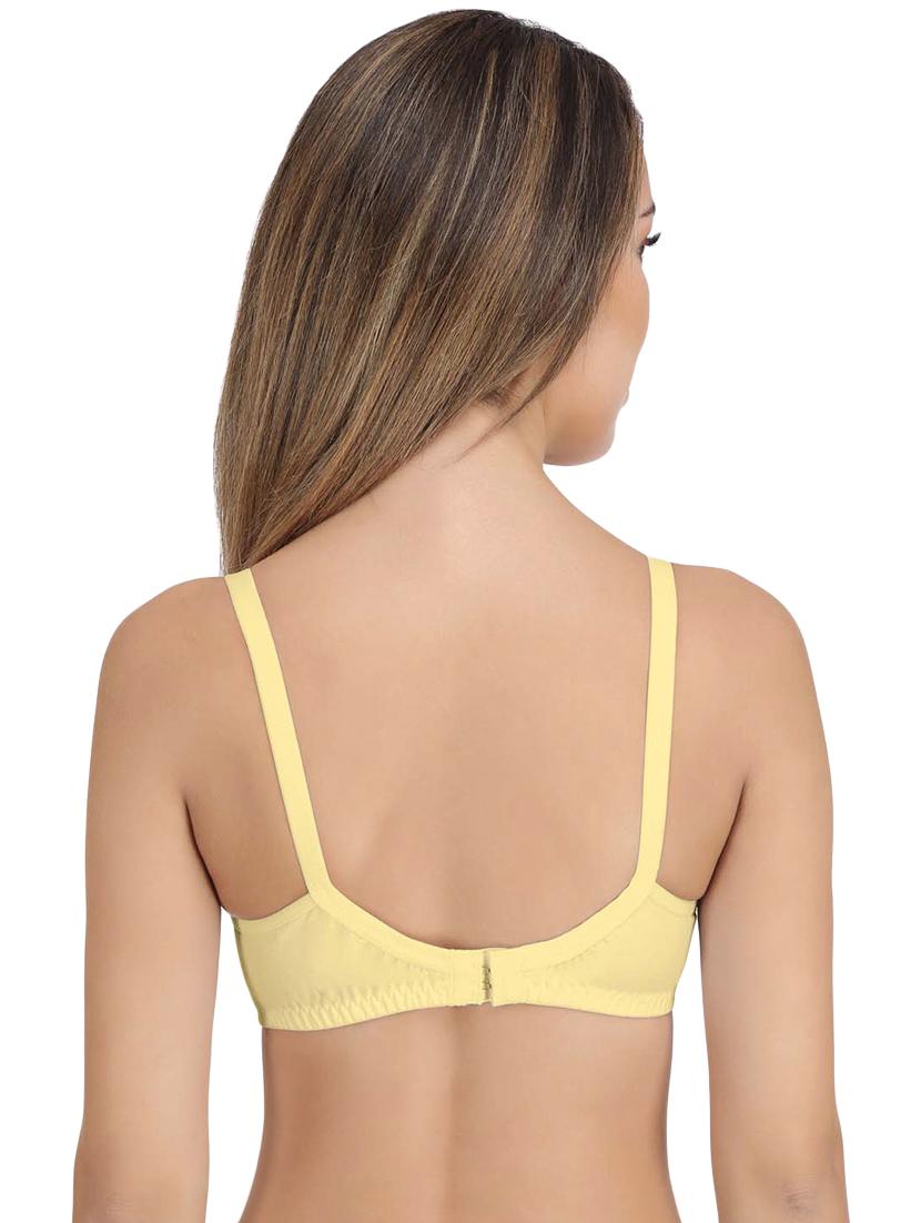 Set of 2 floral patch solid bras - 16195149 - Zoom Image - 5