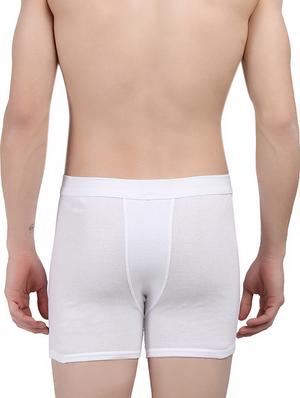 white cotton trunk - 16214536 - Standard Image - 2