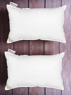 bianca nature biosoya anti stress premium pillow set of 2 - 16317265 - Standard Image - 2