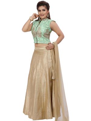 embroidered straight lehenga - 16579055 - Standard Image - 2