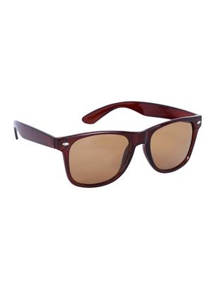evelyn brown lens brown frame wayfarer sunglasses - 16667782 - Standard Image - 2