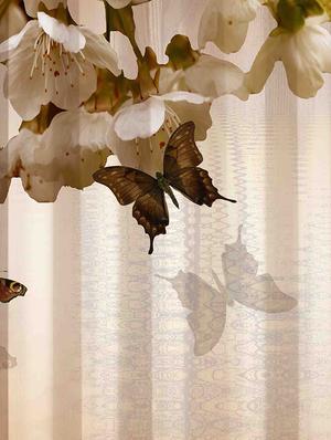 digital printed polyester window curtain - 16685596 - Standard Image - 2