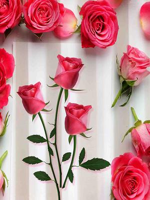 digital printed polyester window curtain - 16685614 - Standard Image - 2