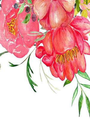 polyester poly duck digital printed window curtain 1 -piece - 16719166 - Standard Image - 2