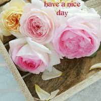 Samreen Fatima