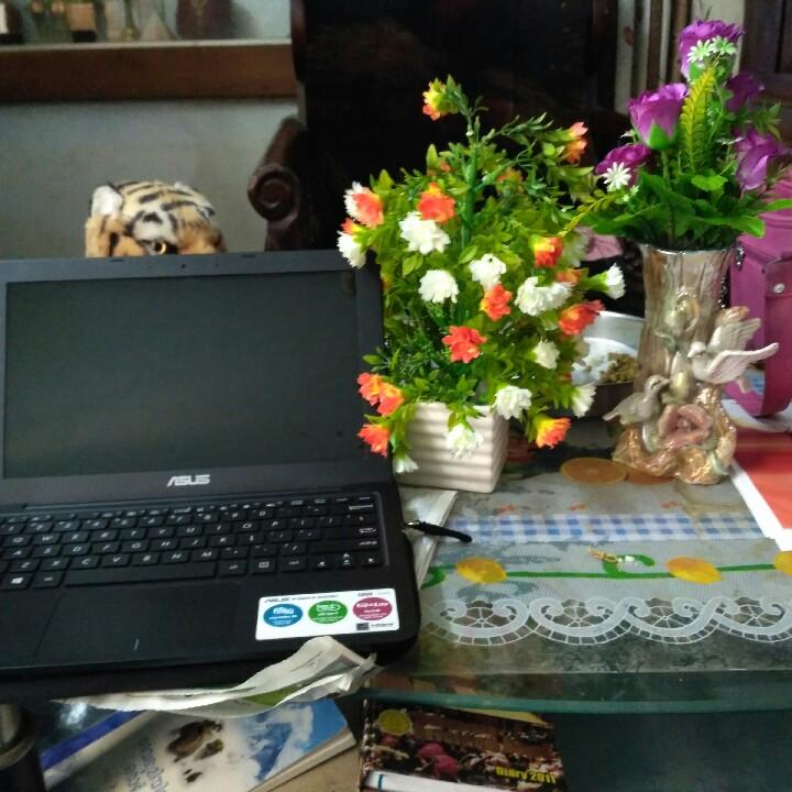 Ramalekshmi R