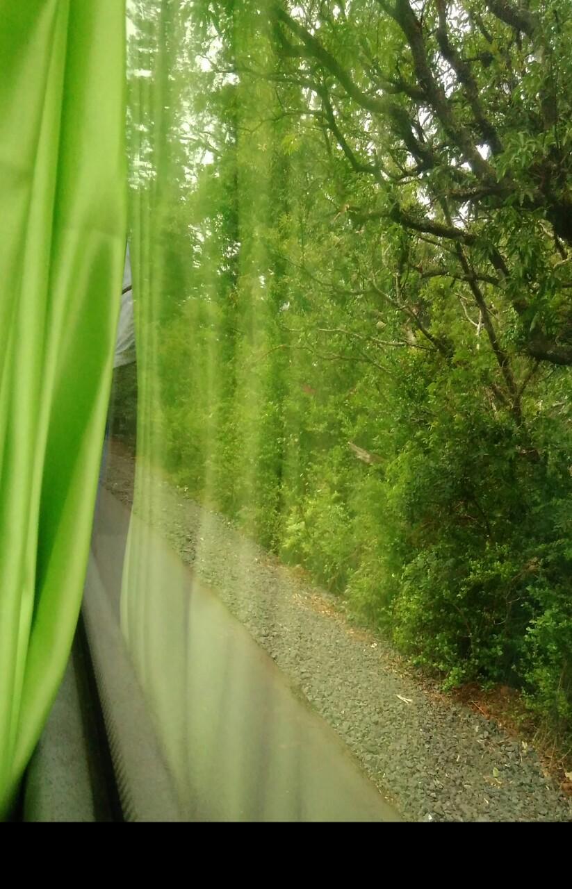 Kalpana Mewada Mewada