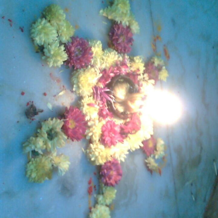 Rishika Smile