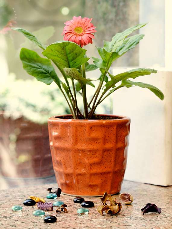unravel india hand made stoneware planter