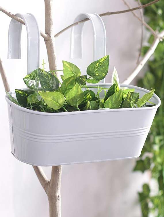 white metal hand painted oval railling planter  