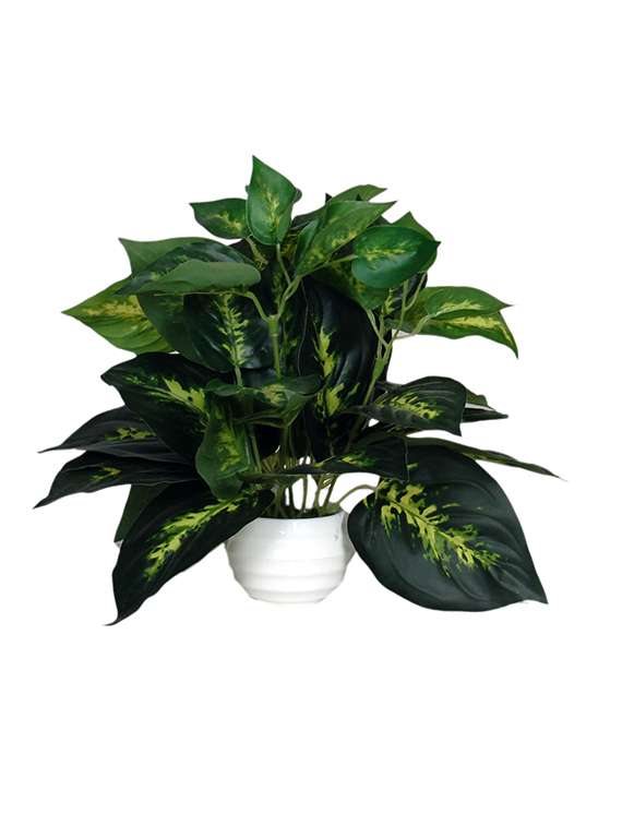 loxiaa green wild artificial flower with pot (18cm)