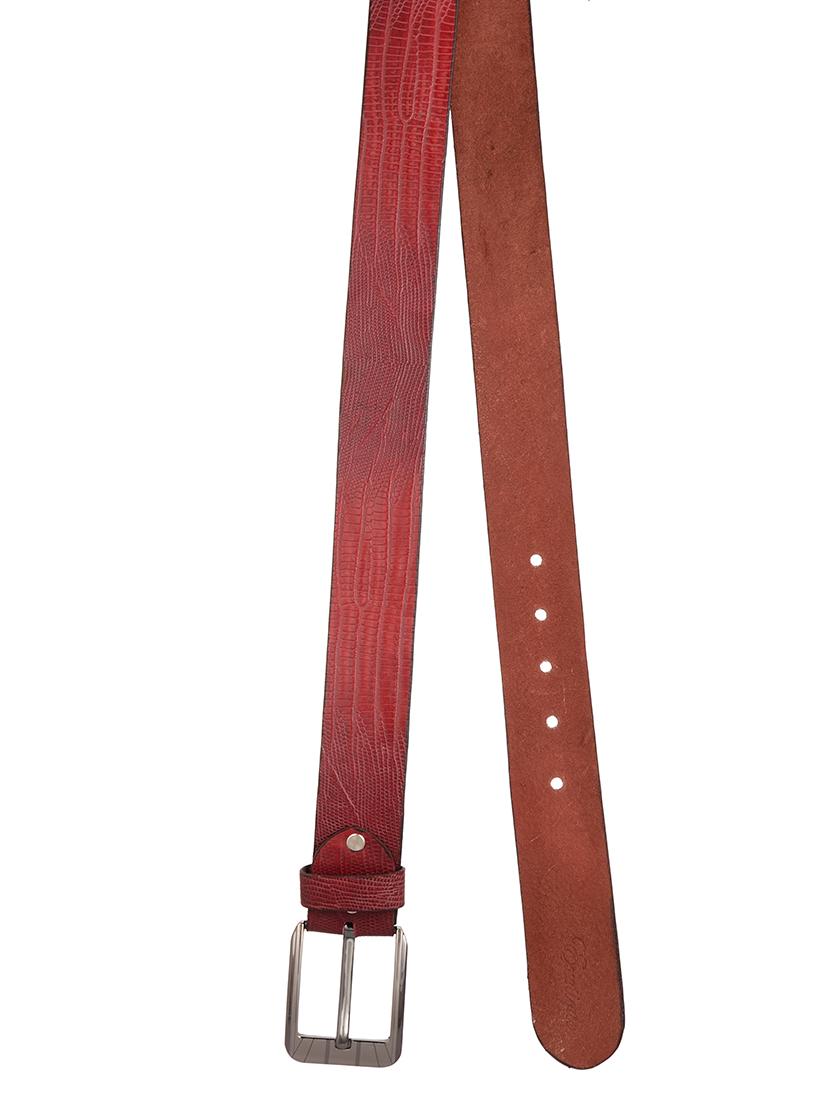 red leather belt - 12883725 -  Standard Image - 1