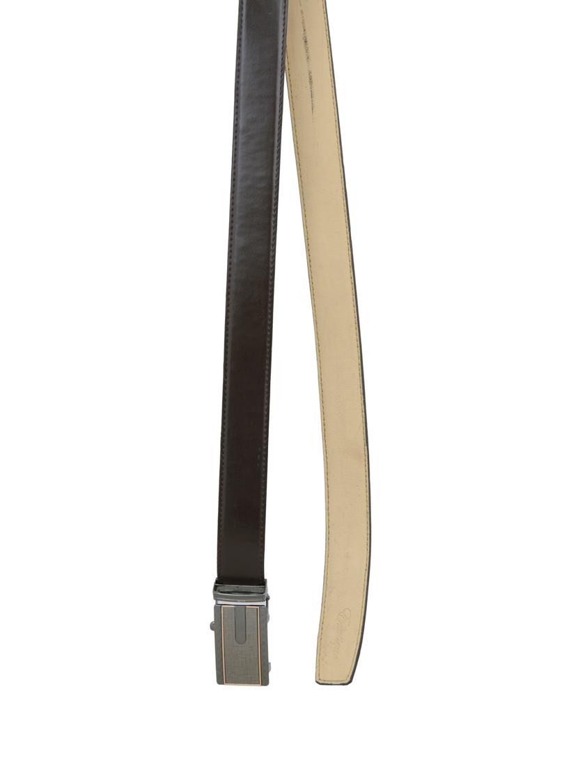 brown leather belt - 13853838 -  Standard Image - 1