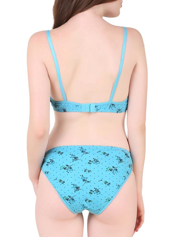 blue hosiery bra and panty set - 13940124 -  Standard Image - 1