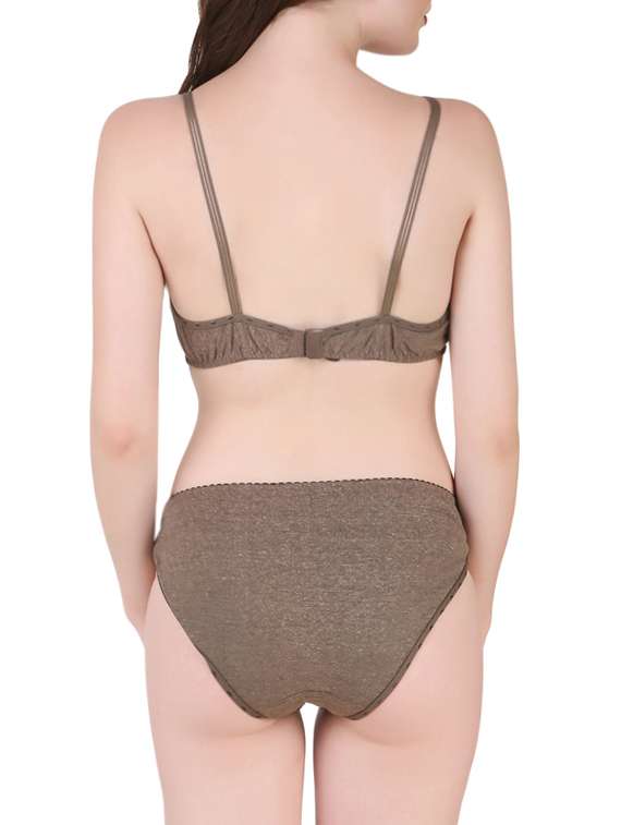 brown hosiery bra and panty set - 13940129 -  Standard Image - 1