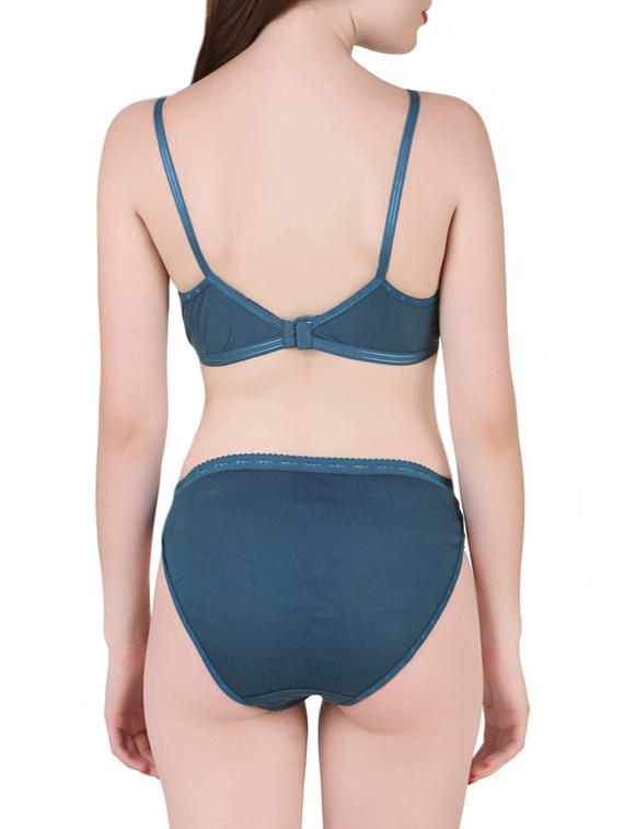 blue hosiery bra and panty set - 13940135 -  Standard Image - 1