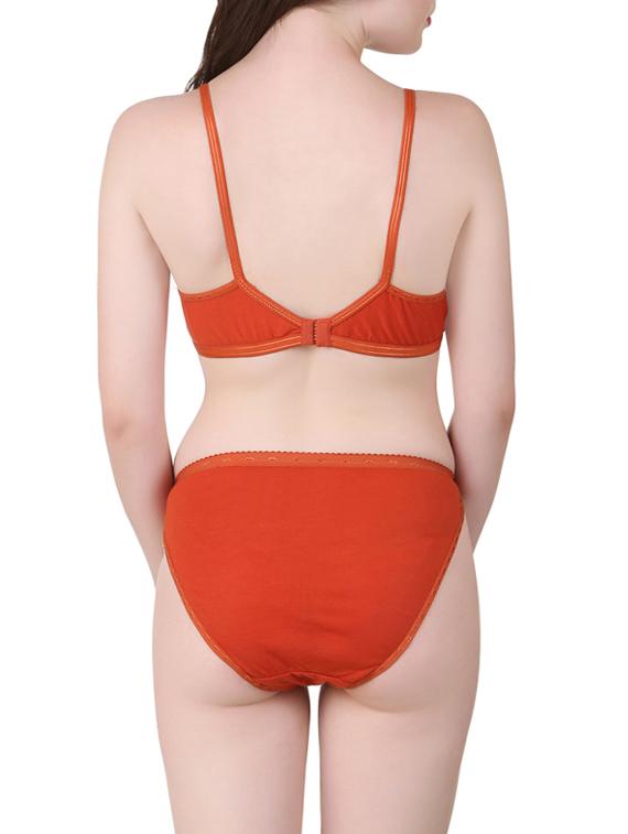orange hosiery bra and panty set - 13940136 - Standard Image - 1