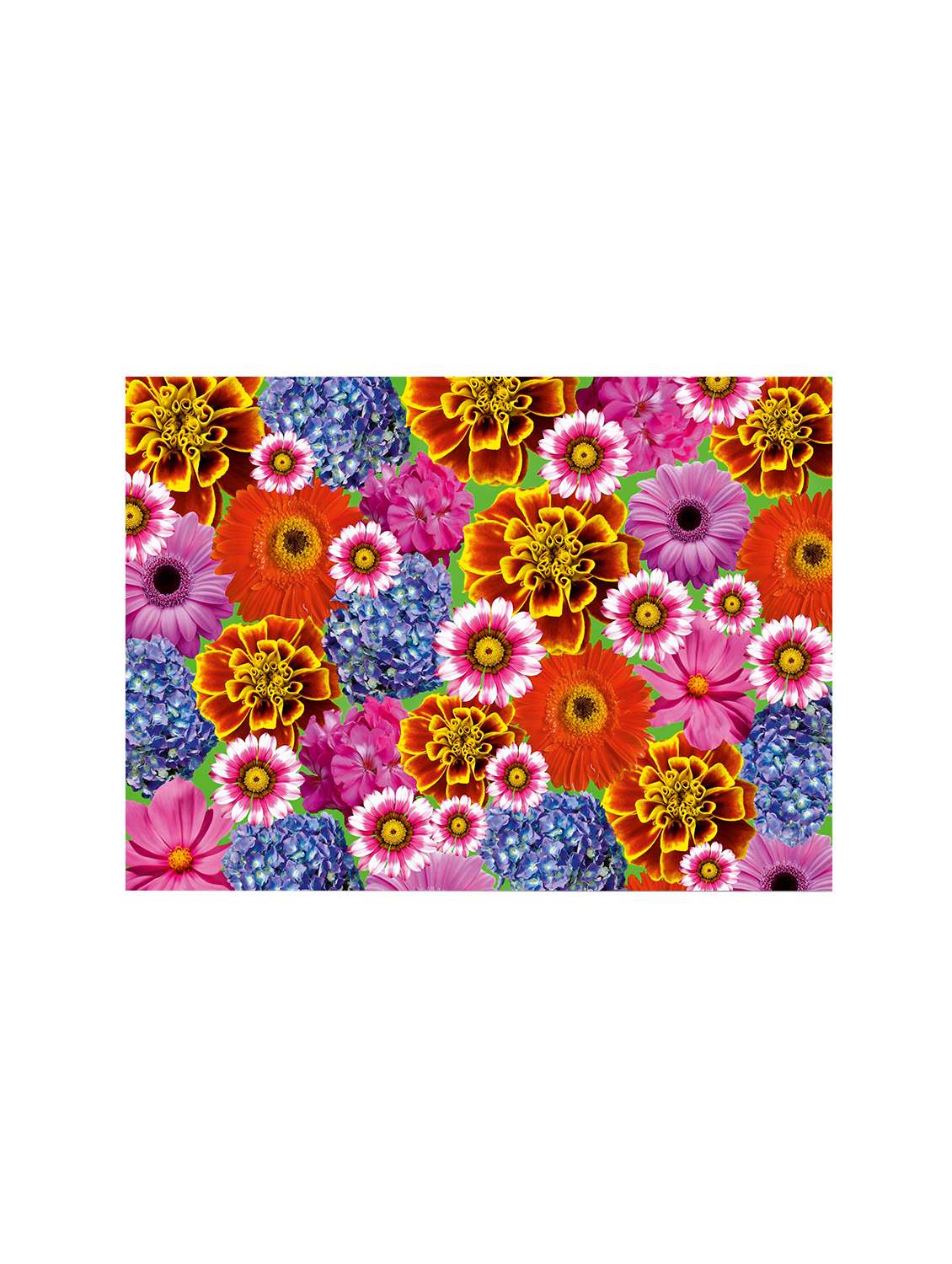 ambbi collections printed polyester set of 6 placemats - 13975324 -  Standard Image - 1