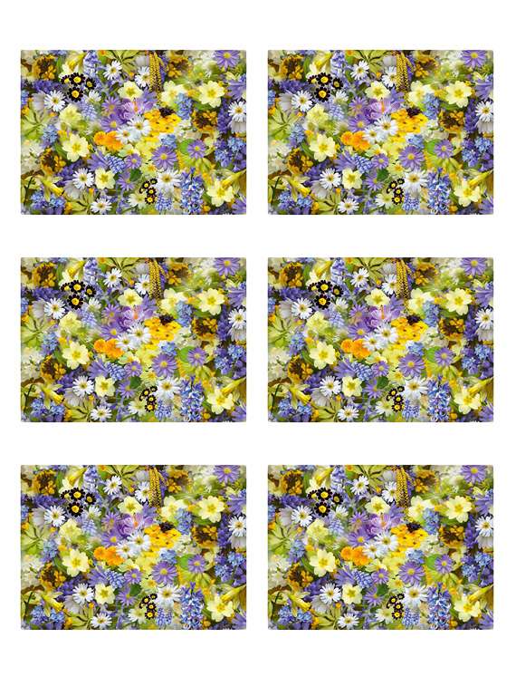 printed polyester table mat set of 6 pcs