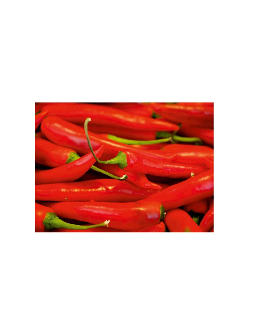 printed polyester table mat set of 6 pcs by ambbi collections - 14078075 -  Standard Image - 1