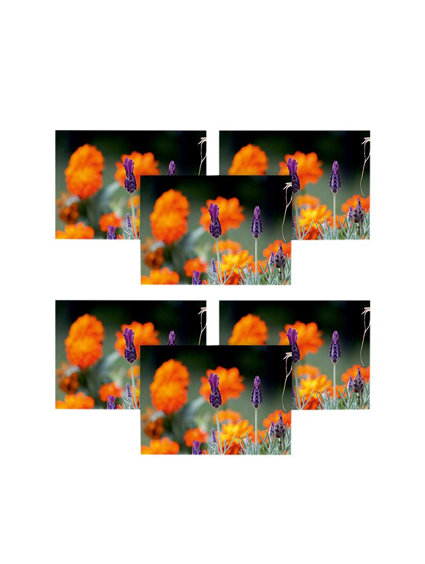 printed polyester table mat set of 6 pcs by ambbi collections