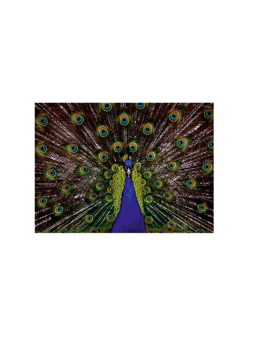 printed polyester table mat set of 6 pcs by ambbi collections - 14078089 -  Standard Image - 1