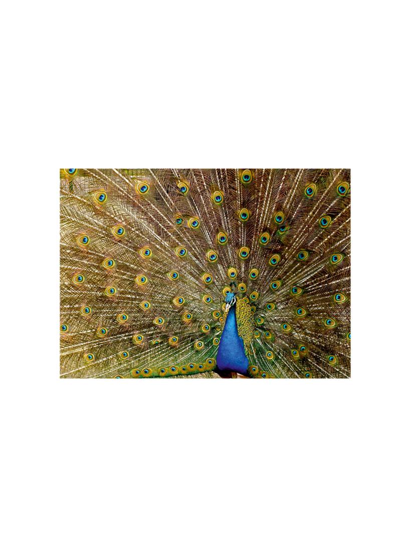 printed polyester table mat set of 6 pcs by ambbi collections - 14078093 - Standard Image - 1