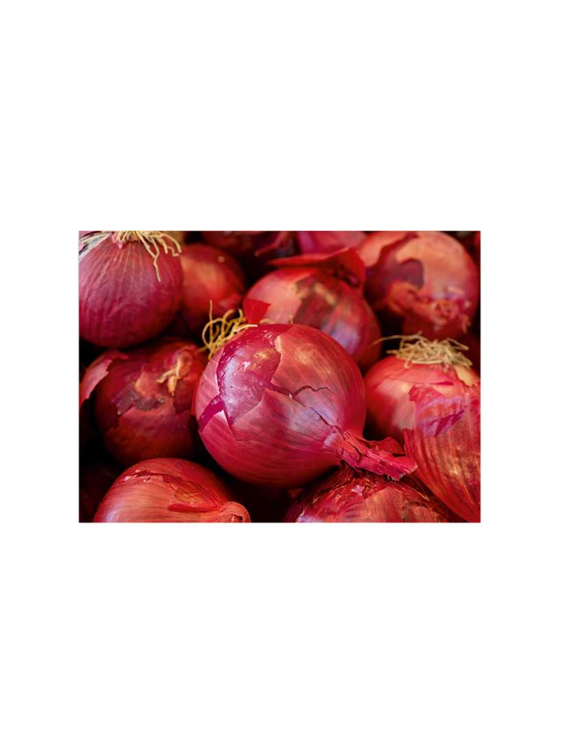 printed polyester table mat set of 6 pcs by ambbi collections - 14078095 -  Standard Image - 1