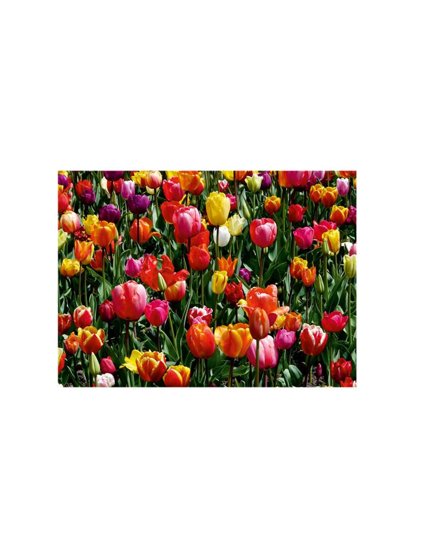 printed polyester table mat set of 6 pcs by ambbi collections - 14078096 -  Standard Image - 1