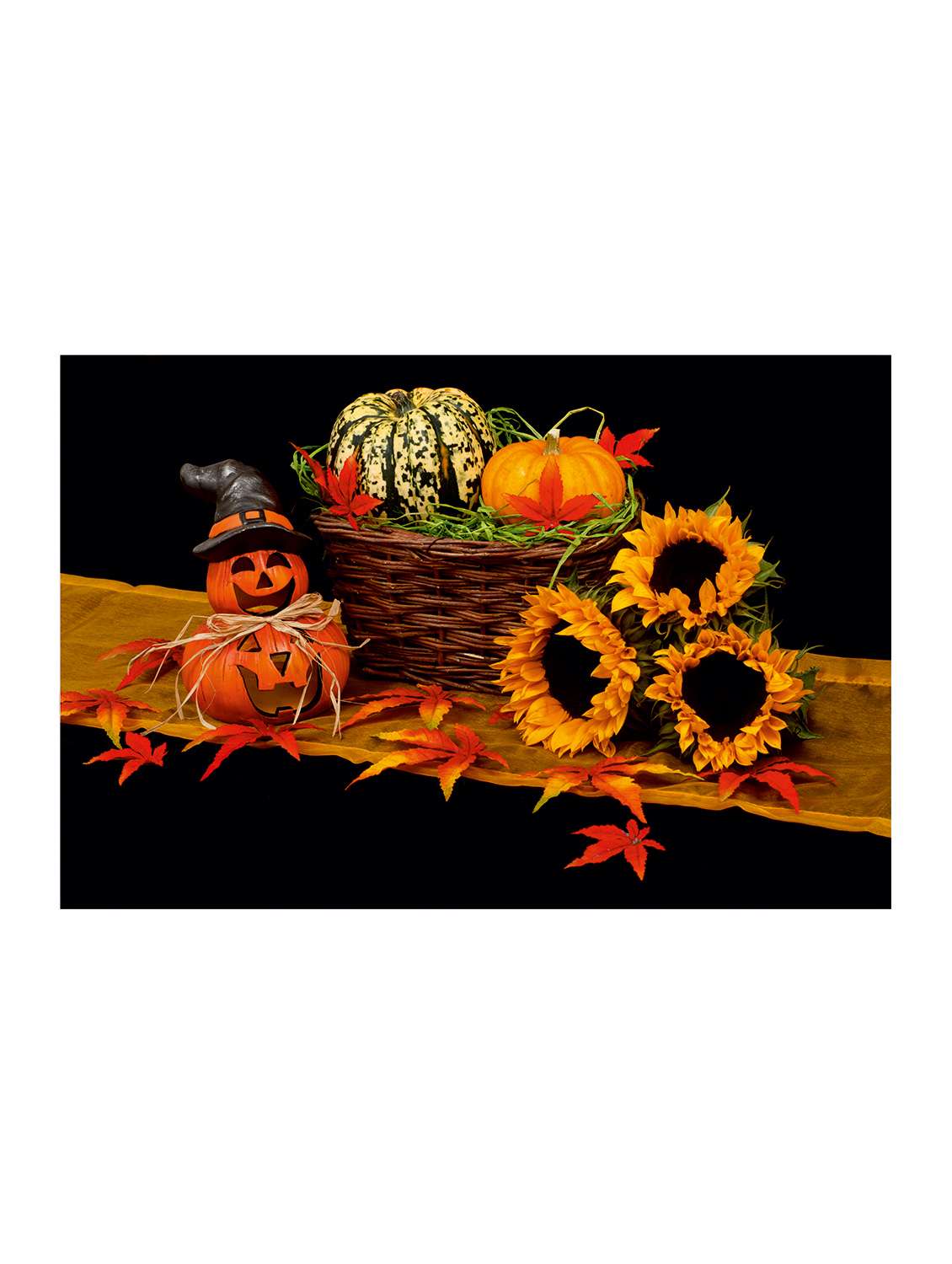 printed polyester table mat set of 6 pcs by ambbi collections - 14085882 -  Standard Image - 1