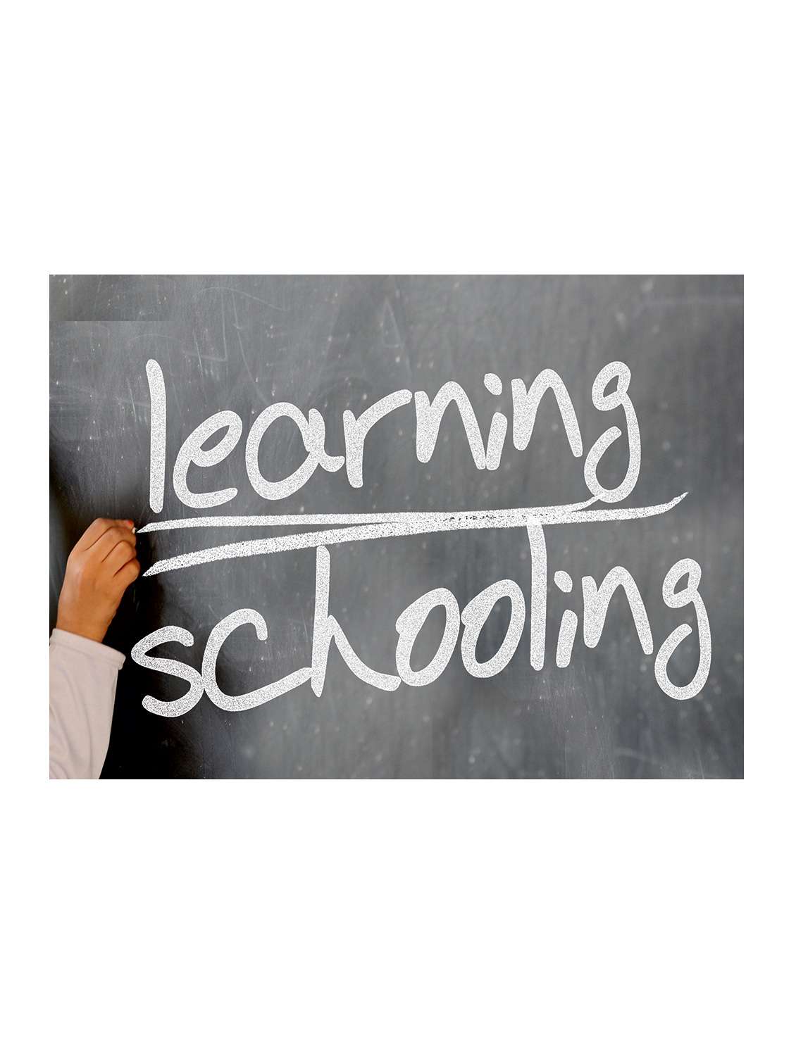 printed polyester table mat set of 6 pcs by ambbi collections - 14085901 -  Standard Image - 1